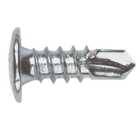 TORNILLO RS 4.8x16 zincado pvp 100